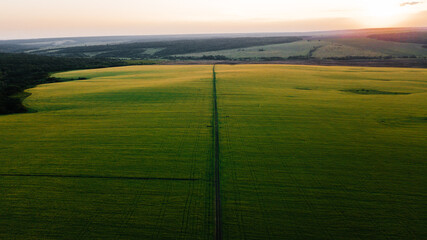 Gravel road in the middle of a green field