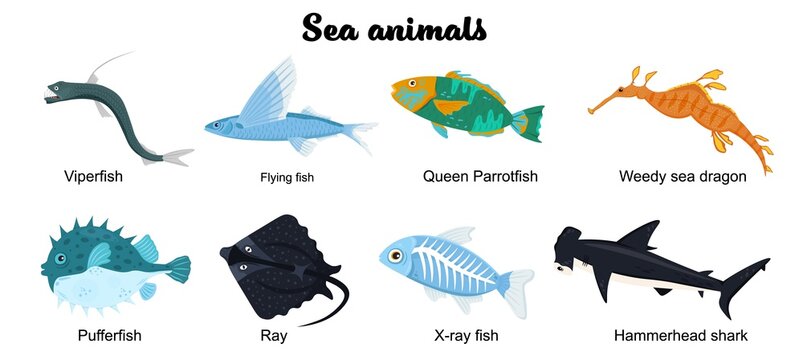 Undersea inhabitants. Endangered species. Sea animals set