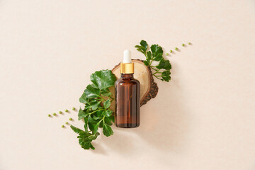 Flatley .essential oil. Aromatic oil. essential oil with a flower and fresh medicinal herbs on a white background