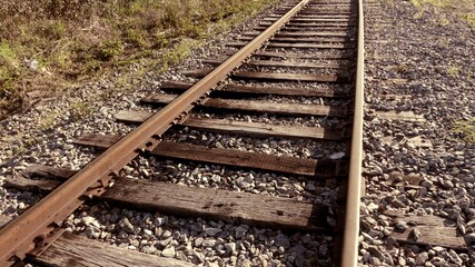 Naklejka premium railroad tracks in the forest