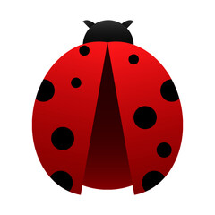 Ladybug vector isolated icon on white