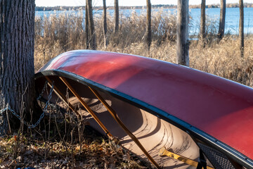 A red canoe rests quietly against a tree trunk in the forest, at the shore of a beautiful Minnesota lake, waiting to be used by paddlers. Autums season image.