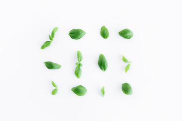 Green basil, mint leaves, white background. Healthy eating and cosmetics concept