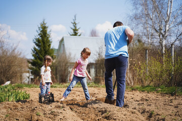 Man, children, kids dig soil, land with shovel, make garden beds for spring planting of potatoes. Good harvest. Family farming, self cultivation of healthy, natural eco friendly bio food, vegetables