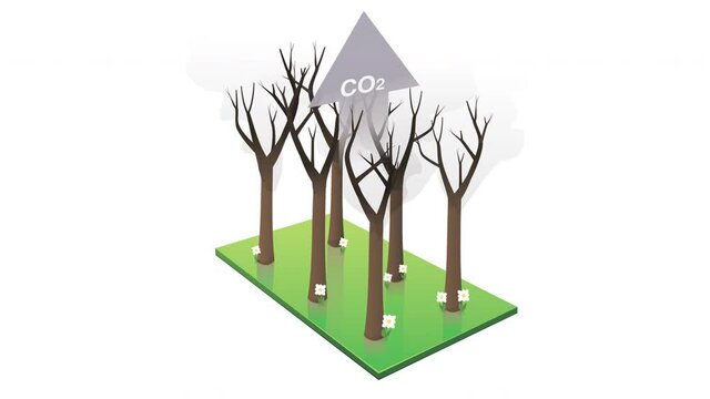 Animation loop of a burnt forest releasing carbon dioxide on white background