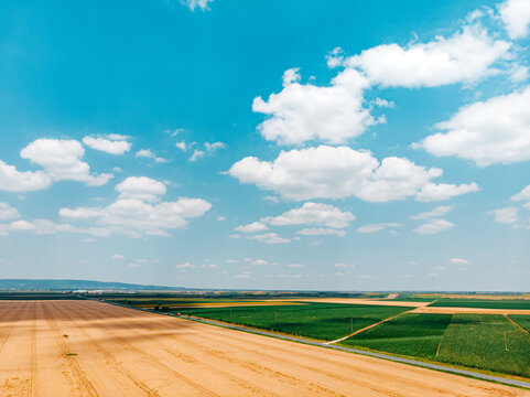Wheat field