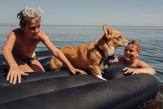 Two boys swim on an inflatable mattress with Corgi dog in googles