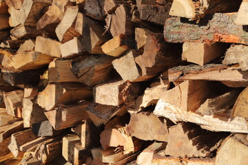 Firewood cut and stacked in the morning or afternoon sunlight close up