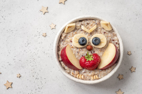 Cute owl shaped breakfast healthy oatmeal porridge for kids