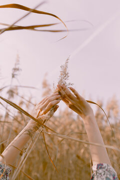 Unrecognizable woman in reeds
