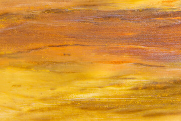 Petrified Wood Fossil Close Up