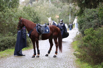 selective focus. Man feeding a seagull in Buyukada, Istanbul