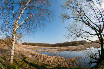 Spring panorama of a forest lake against a background of blue sky and distant mountains