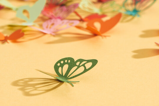 Paper colorful butterflies