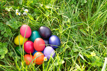 Colorful Easter eggs on green grass. Copy space.