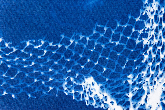 Cyanotype print with fishing net