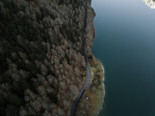 Countryside road near forest and water