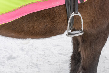 The stirrup is part of the saddle of a harnessed horse.