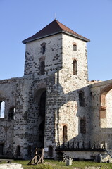Fototapeta na wymiar Zamek Tenczyn w Rudnie w Małopolsce