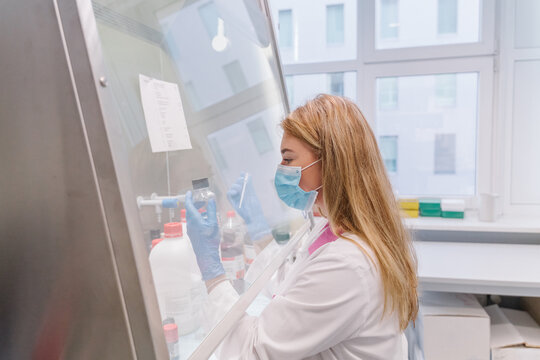 Scientist In A Professional Laboratory