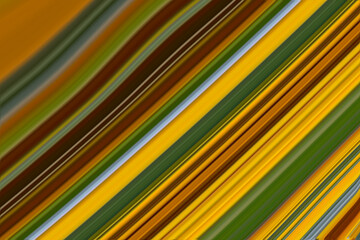 striped background .Abstract art of beautiful paint of marble.With beautiful fantasy ink patterns. Liquid paint.  Art design for your design. Colorful bright combination of colors.