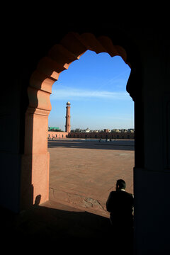 Window into the world