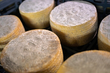 Detail Of Traditional Cheeses In a Box.