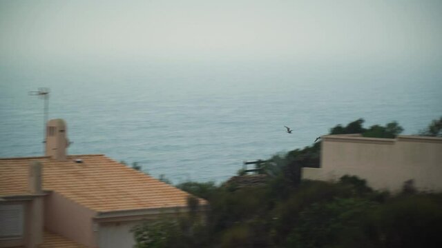 Two seagulls are chasing each other through the air at the atlantic ocean