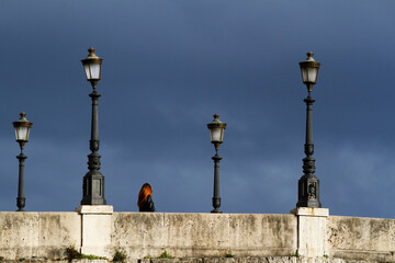 Fototapeta na wymiar Street lamps on the Cestio bridge in Rome, transit of a girl with red hair.