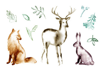 Deer,fox,rabbit tree and floral.Forest animals and branch.Watercolor hand drawn illustration.White background.