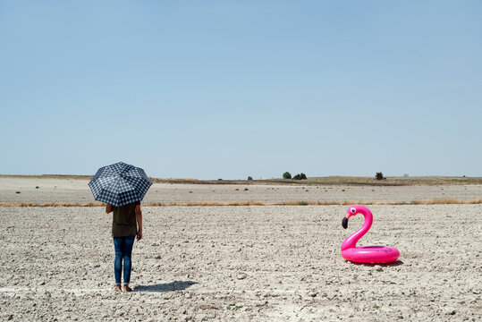 Man And Pink Flamingo