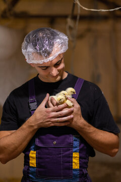 Farm worker inspecting poultry at industrial farm