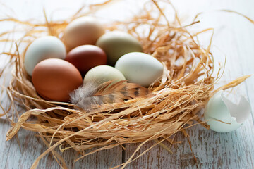 Organic eggs on hay and chicken feather close-up.