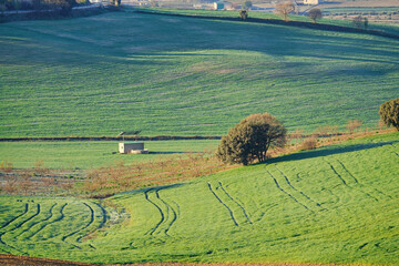 Andalusian rural landscape at sunrise with hills and different types of crops