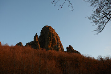 Mountain Hill in the red wood.