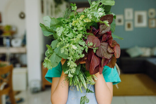 Girl with herbs
