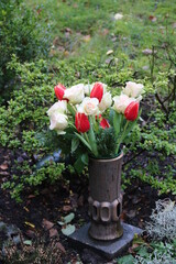 Friedhofsvase mit Tulpen und Rosen auf einem Grab mit Regentropfen
