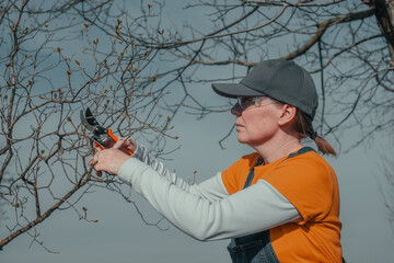 Female farmer cutting branches in cherry fruit orchard with pruning shears