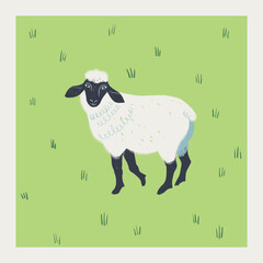 Cute illustration with white sheep on the field of grass