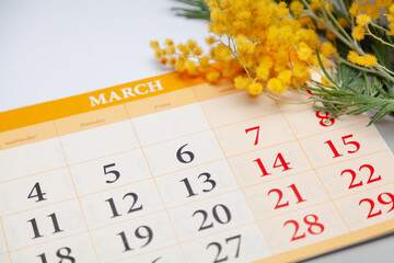 Calendar lies on white background. Above is branch of mimosa