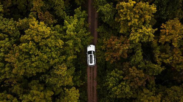 Overhead view Of a white Car Driving Through Forest road