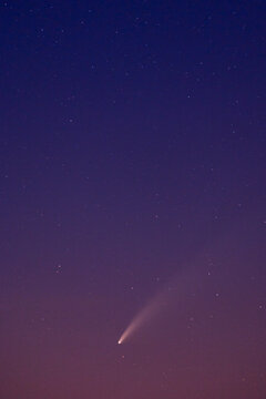 Comet NEOWISE