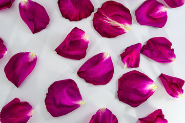 Red rose petals lie on a light background.