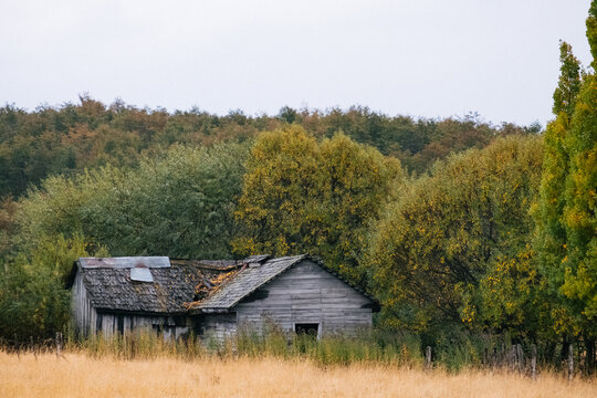 Abandoned Homestead