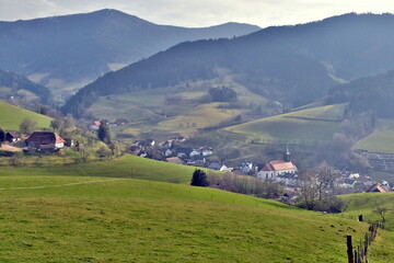 Fototapeta na wymiar Grüne Berge und Täler in Yach im Schwarzwald