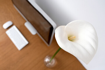 Workplace in a minimalistic style. Monitor, keyboard and mouse on a wooden table next to a home flower and calla lilies. Copy space. .