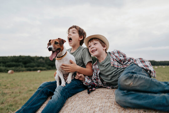 Portrait of two little brothers with dog in the field.