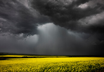 Summer storm over a farmers crop.