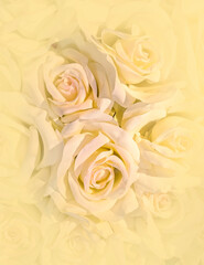 pale peach colored fake rose flowers top view closeup, colorful pattern background