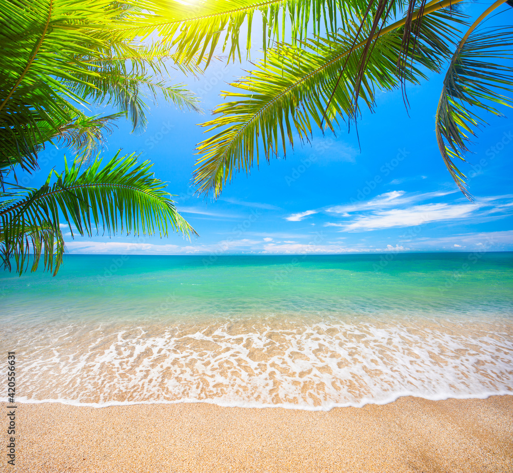 Wall mural green leaves of palm tree and tropical beach